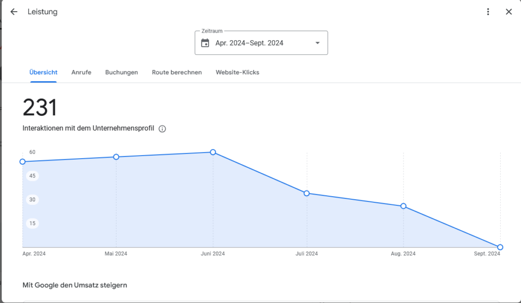 Google Business Leistung überwachen